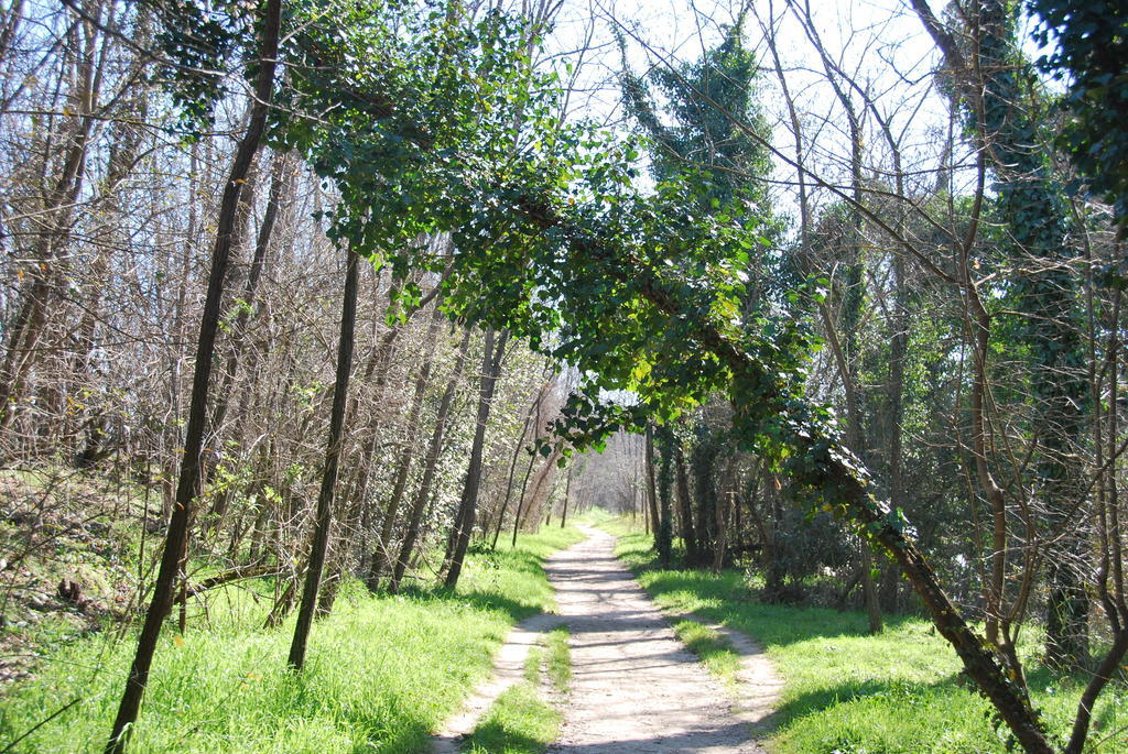 Ponte Valleceppi B&B Percorso Verde מראה חיצוני תמונה